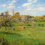 Spring Morning