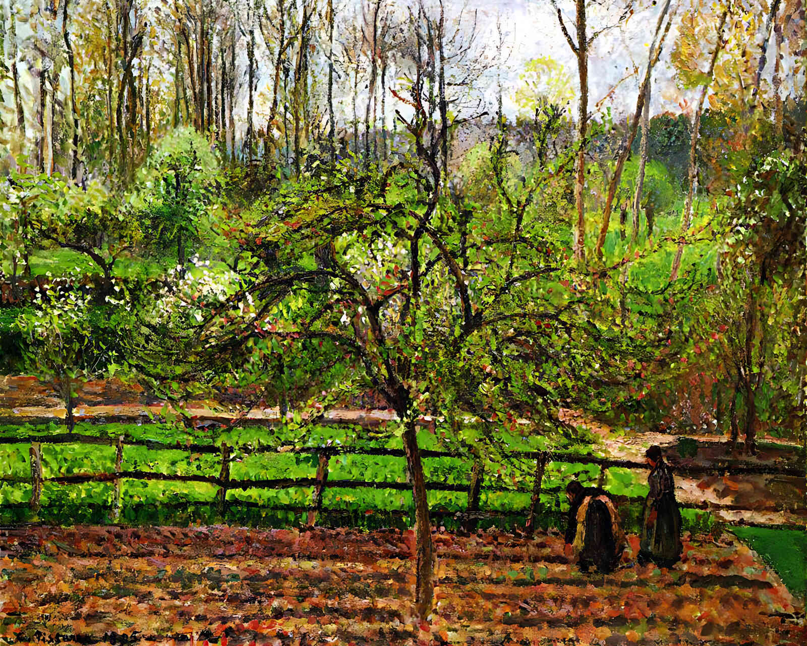Spring