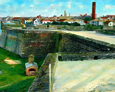Bird's-Eye View from Fort Marion St Augustine art print