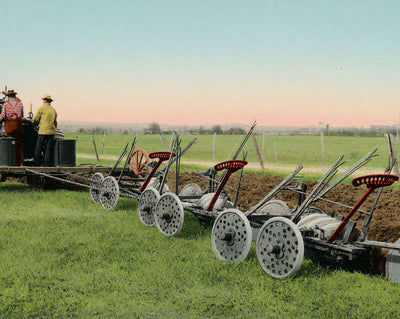 Steam Plowing in Texas in 1906 vintage print