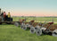 Steam Plowing in Texas in 1906 Vintage Print (7 Sizes) - Restored