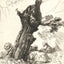 St. Jerome Beside a Pollard Willow Art Print 1648 by Rembrandt (6 Sizes)