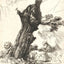St. Jerome Beside a Pollard Willow fine art print by Rembrandt (1648)