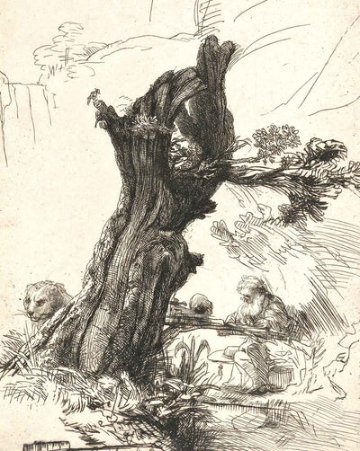 St. Jerome Beside a Pollard Willow fine art print by Rembrandt (1648)