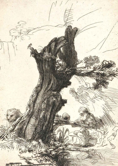 St. Jerome Beside a Pollard Willow Art Print 1648 by Rembrandt (6 Sizes)