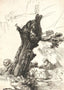 St. Jerome Beside a Pollard Willow Art Print 1648 by Rembrandt (6 Sizes)