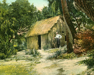 Fisherman's Palmetto Shack