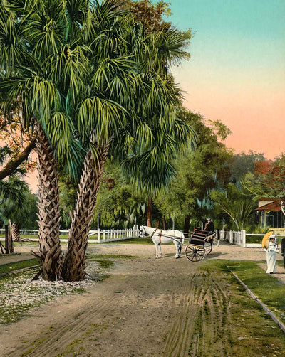 Street Scene