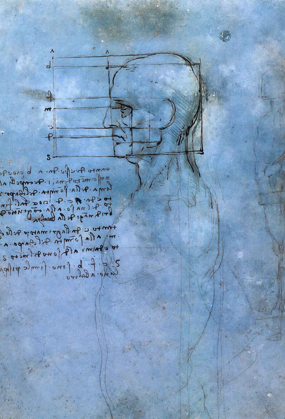 Study of Proportion Art Print 1490 Painting by Leonardo da Vinci (6 Sizes)