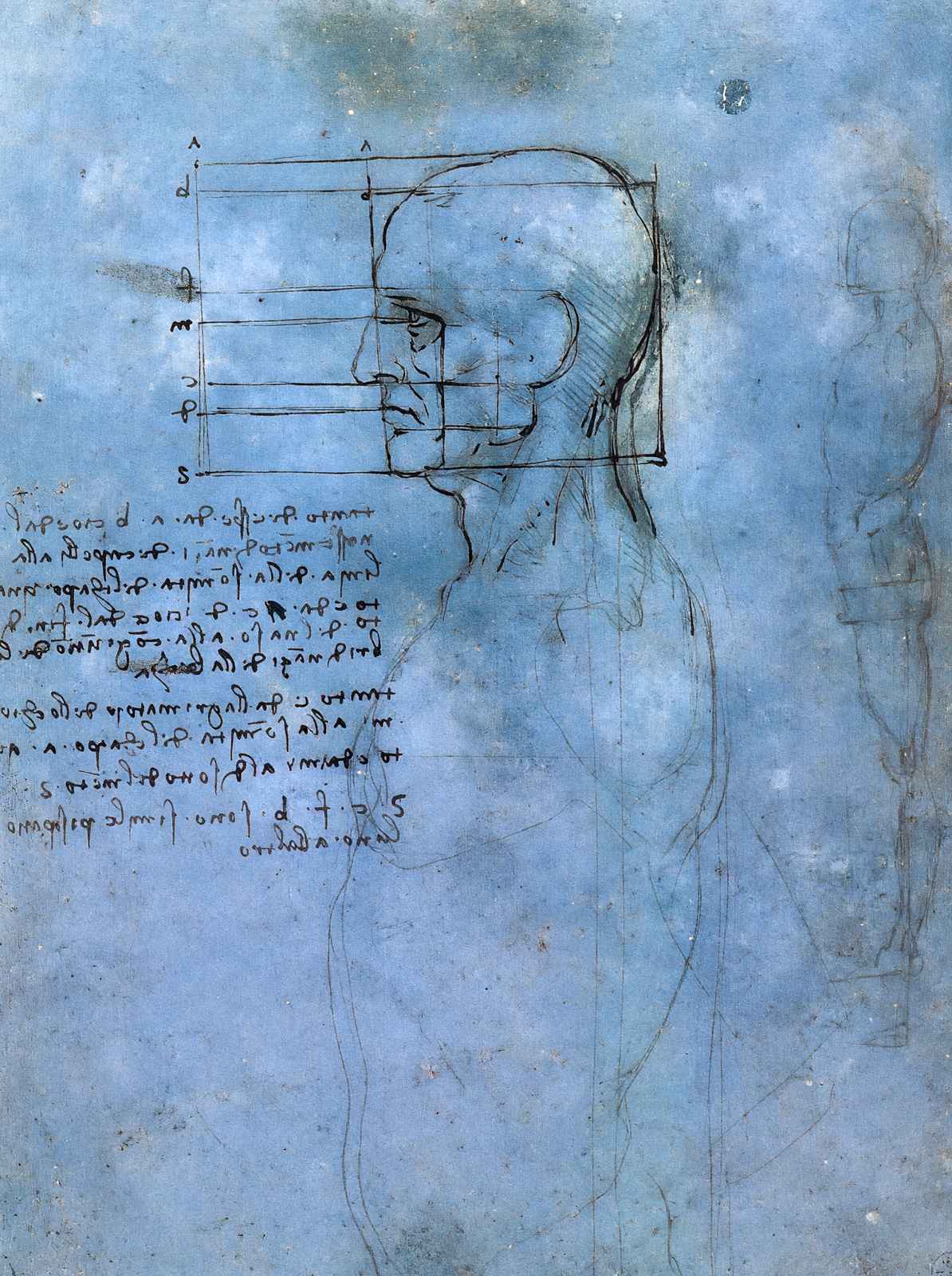 Study of Proportion Art Print 1490 Painting by Leonardo da Vinci (6 Sizes)