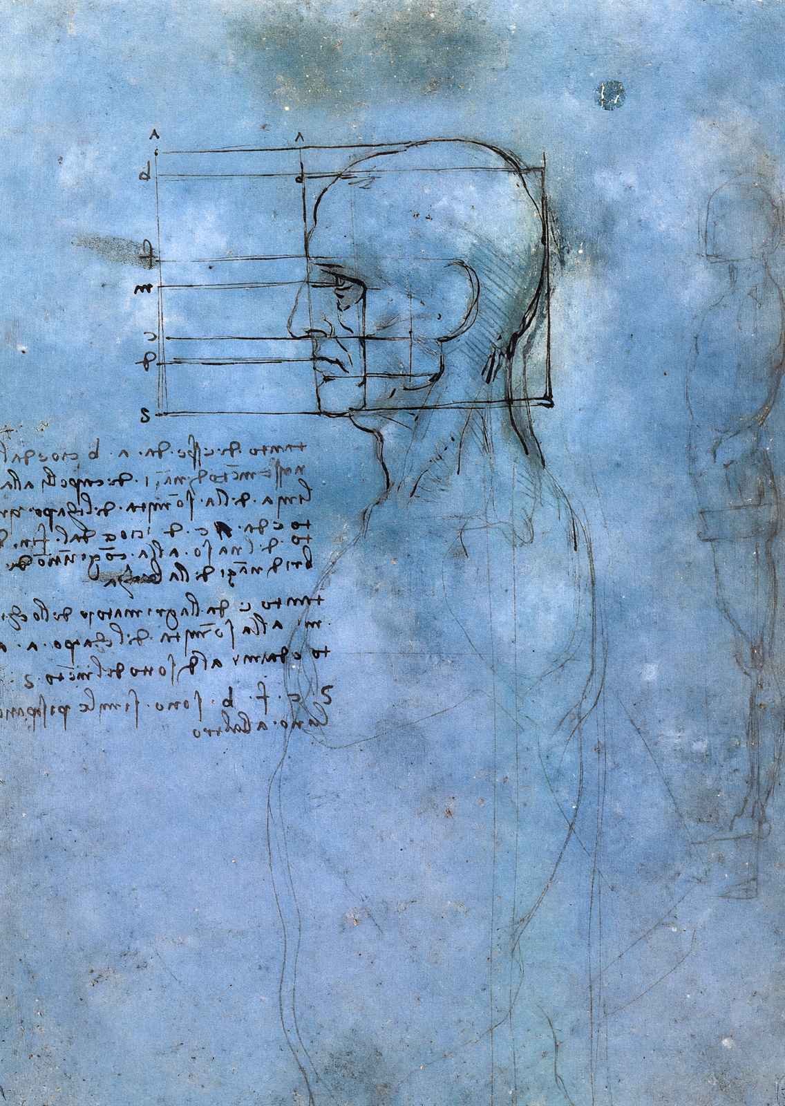 Study of Proportion Art Print 1490 Painting by Leonardo da Vinci (6 Sizes)