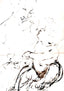 Study for the Madonna with the Fruit Bowl 1478 by da Vinci Art Print (2 Sizes)