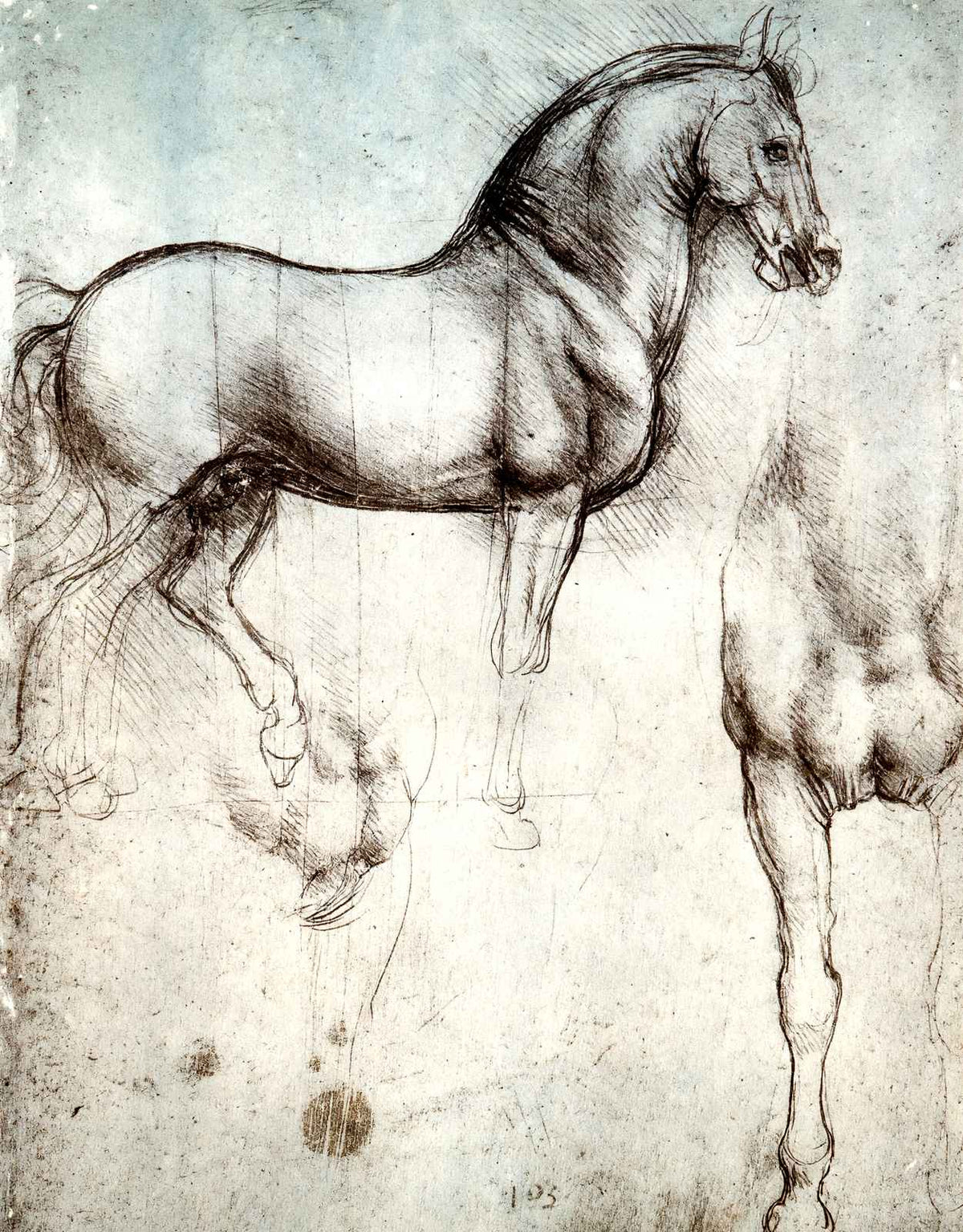 Study of Horses Art Print 1490 Painting by Leonardo da Vinci (6 Sizes)