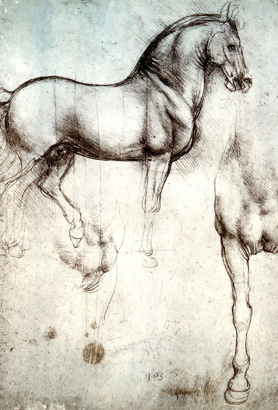 Study of Horses Art Print 1490 Painting by Leonardo da Vinci (6 Sizes)