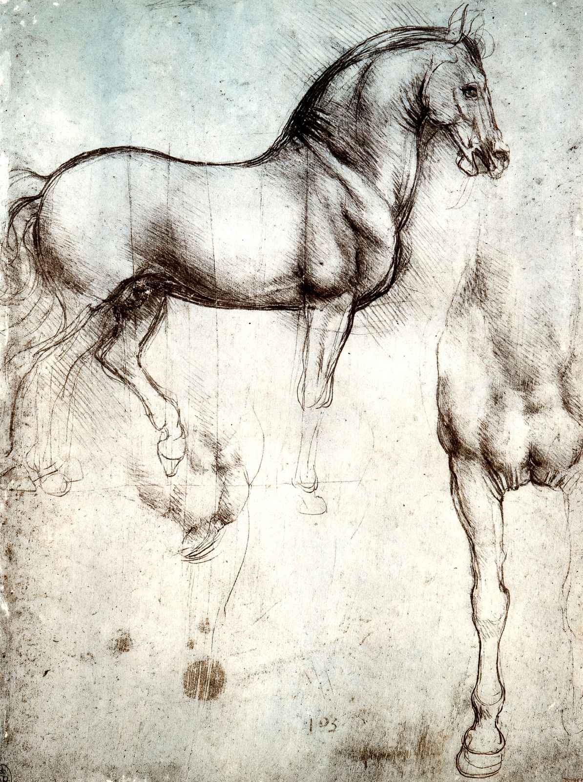 Study of Horses Art Print 1490 Painting by Leonardo da Vinci (6 Sizes)