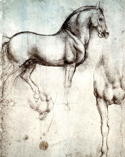 Study of Horses painting print by Leonardo da Vinci (1490)