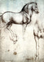 Study of Horses Art Print 1490 Painting by Leonardo da Vinci (6 Sizes)