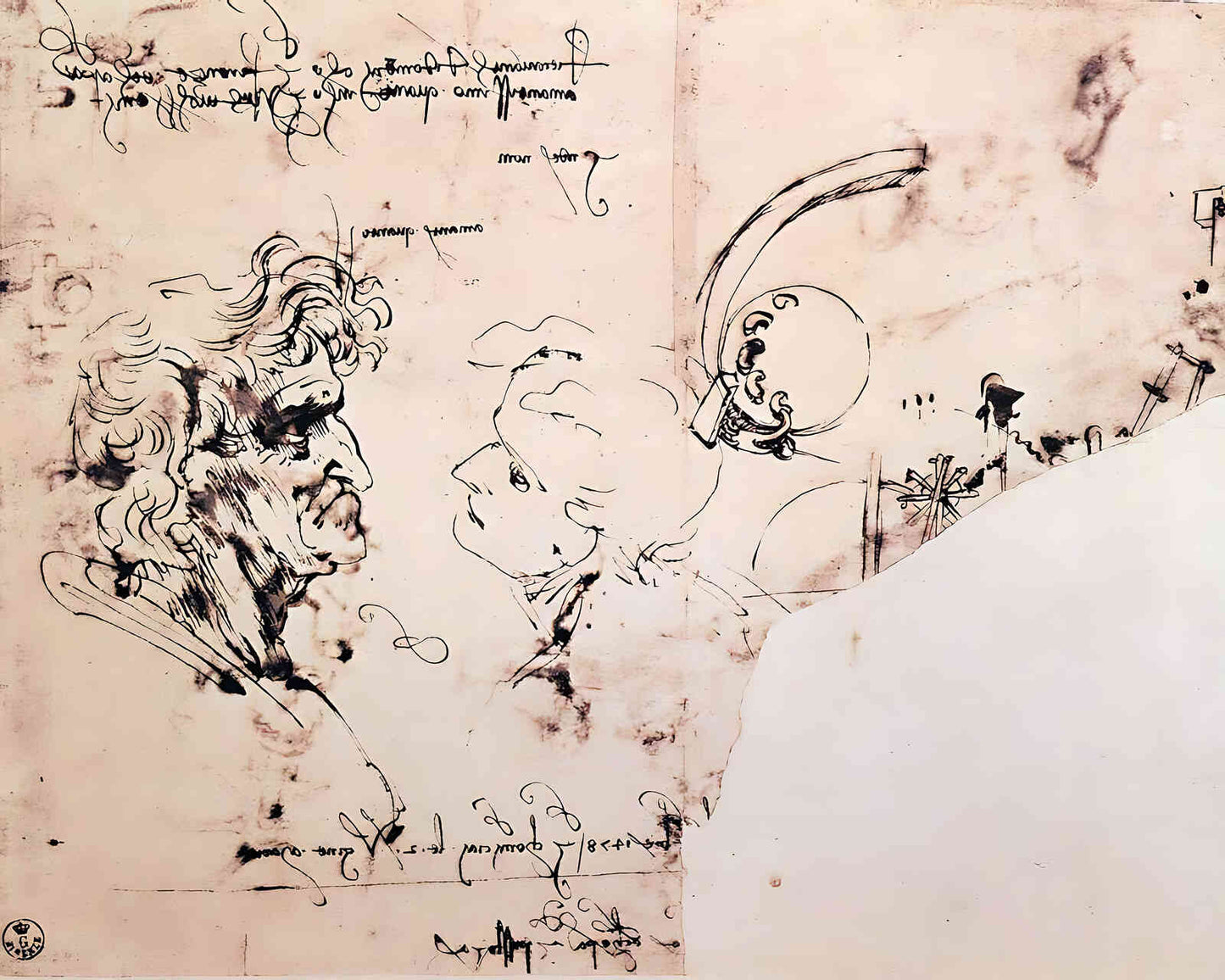 Study Sheet Painting by Leonardo da Vinci 8x10" Art Print (High Quality)