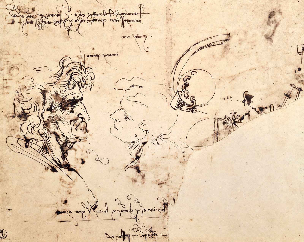 Study Sheet fine art print by Leonardo da Vinci (1478)