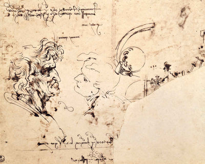 Study Sheet fine art print by Leonardo da Vinci (1478)