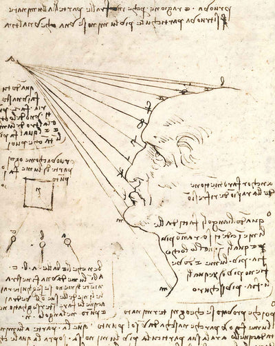 Study of the Effect of Light on a Profile Head (Facsimile) art print by Leonardo da Vinci (1488)