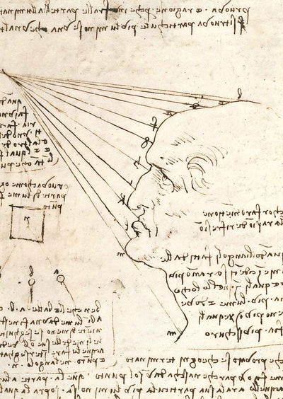 Study of the Effect of Light on a Profile Head 1488 Art Print (6 Sizes)