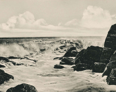 Surf Scene Off Portland