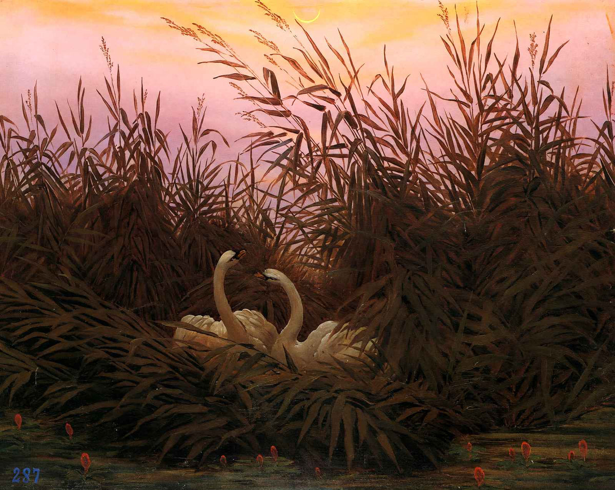 Swans Among the Reeds at the First Morgenro painting by Caspar David Friedrich (1832)
