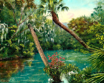 Upper Anclote River