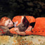 The New Novel Fine Art Print 1877 Painting by Winslow Homer (6 Sizes) Acid Free