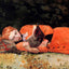 The New Novel painting by Winslow Homer (1877)