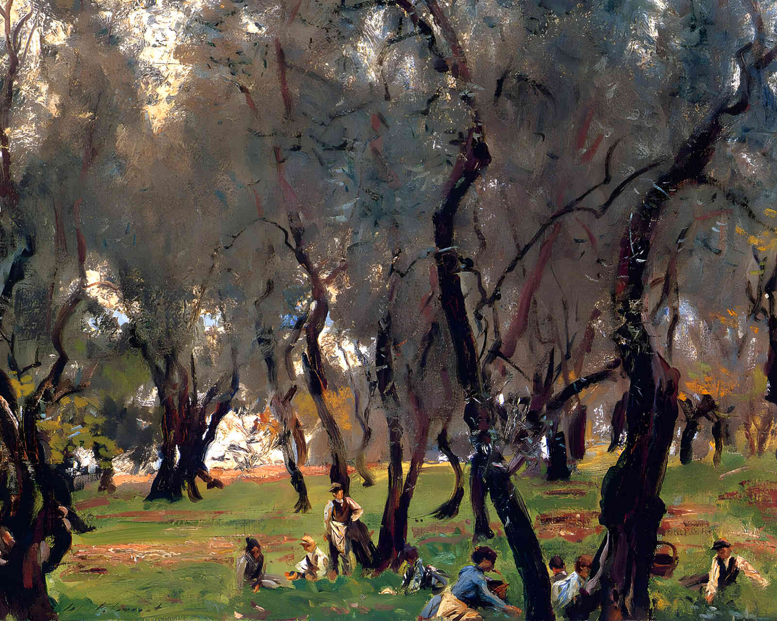 The Olive Grove 1908 Painting by John Singer Sargent 8x10" Art Print