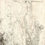 The Descent from the Cross Art Print 1642 Drawing by Rembrandt (6 Sizes)