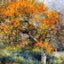 The Pear Tree art print by Pierre-Auguste Renoir (1889)