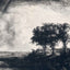 The Three Trees 1643 Drawing by Rembrandt Fine Art Print (6 Sizes)