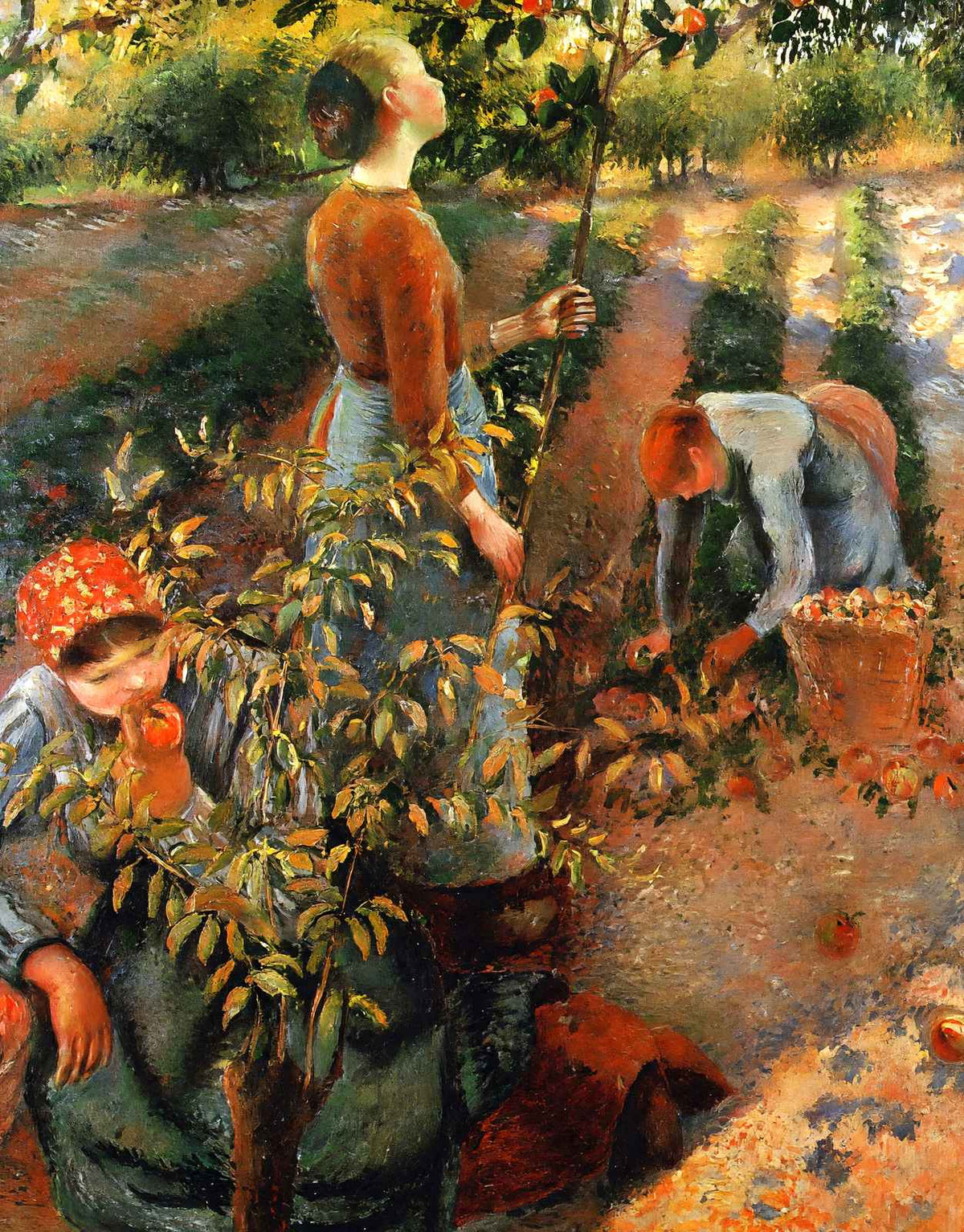 The Apple Pickers 1886 Painting by Camille Pissarro Fine Art Print (6 Sizes)