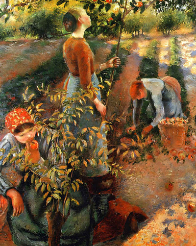 The Apple Pickers painting by Camille Pissarro (1886)