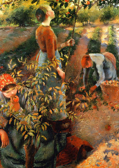 The Apple Pickers 1886 Painting by Camille Pissarro Fine Art Print (6 Sizes)