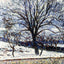 The Thaw, Eragny 1893 Painting by Camille Pissarro Art Print (6 Sizes)