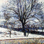 The Thaw, Eragny 1893 Painting by Camille Pissarro Art Print (6 Sizes)