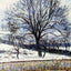 The Thaw