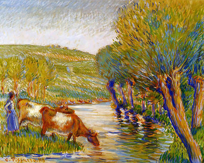 The River and Willows