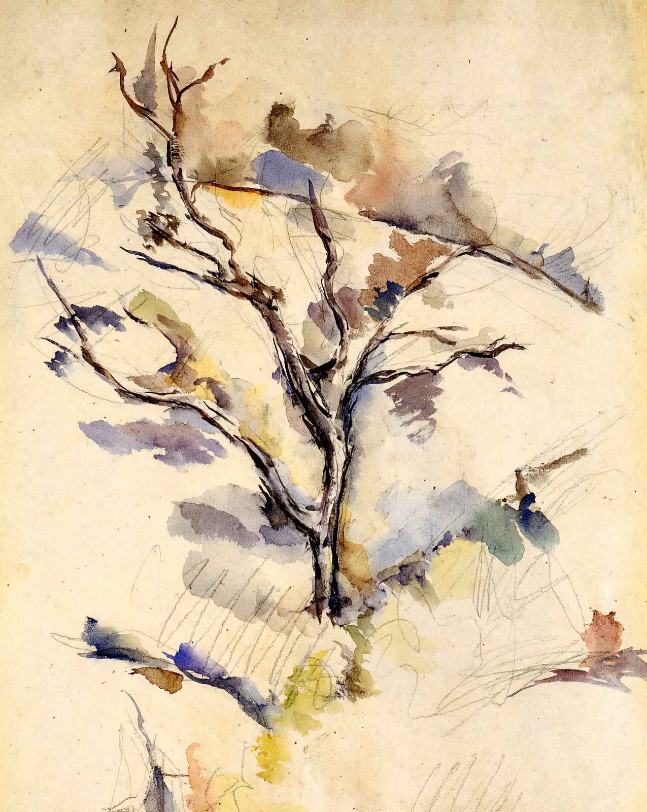 The Oak fine art print by Paul Cezanne (1885)