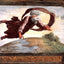 The Separation of Land and Water 1519 Painting by Raphael Art Print (6 Sizes)