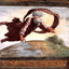 The Separation of Land and Water fine art print by Raphael (1519)