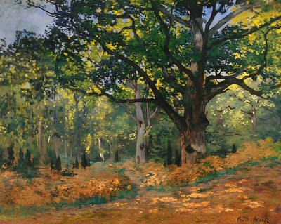 The Bodmer Oak