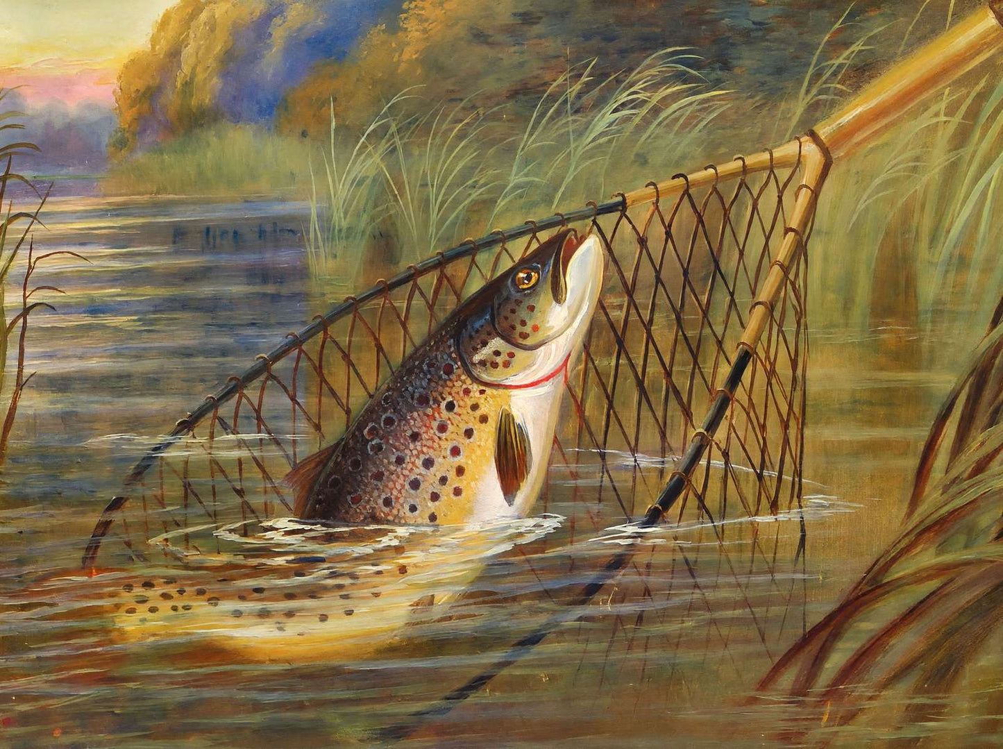 Trout a Beauty in 1904 Art Print (7 Sizes) - Retouched