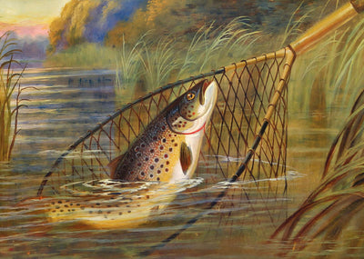 Trout a Beauty in 1904 Art Print (7 Sizes) - Retouched