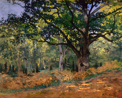 The Bodmer Oak