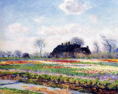 Tulip Fields at Sassenheim